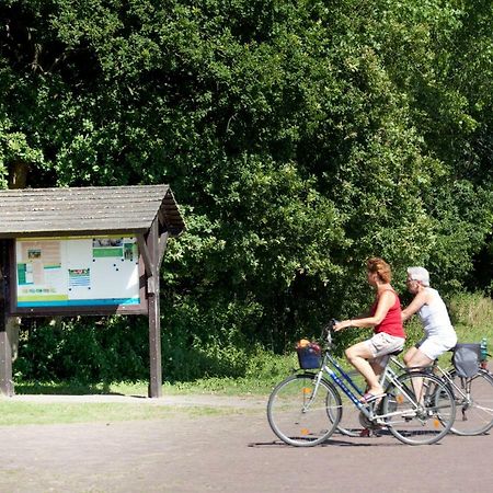Appartementen – Bungalowpark Mooyeveld – Uniek gelegen in de duinen! Egmond-Binnen Exterior foto